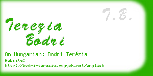 terezia bodri business card