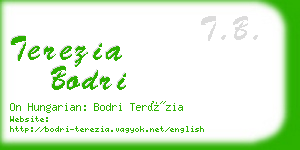 terezia bodri business card